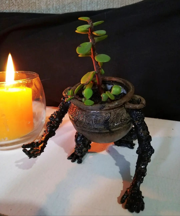 Producto - Alexander Pot boy