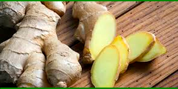 Producto - JENGIBRE RAÍZ FRESCA AGROECOLÓGICA x 500 gr aprox.