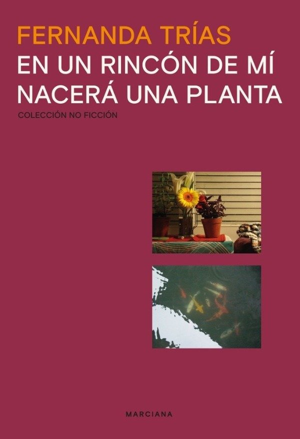Producto - En un rincón de mí nacerá una planta - Fernanda Trías