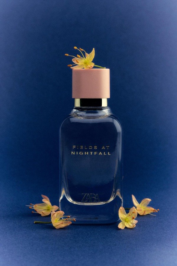 Producto - Fields at Nightfall - Zara - 2