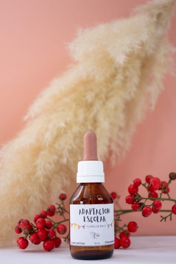 Producto - ADAPTACIÓN ESCOLAR