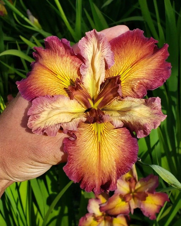 Miniatura de producto - 4