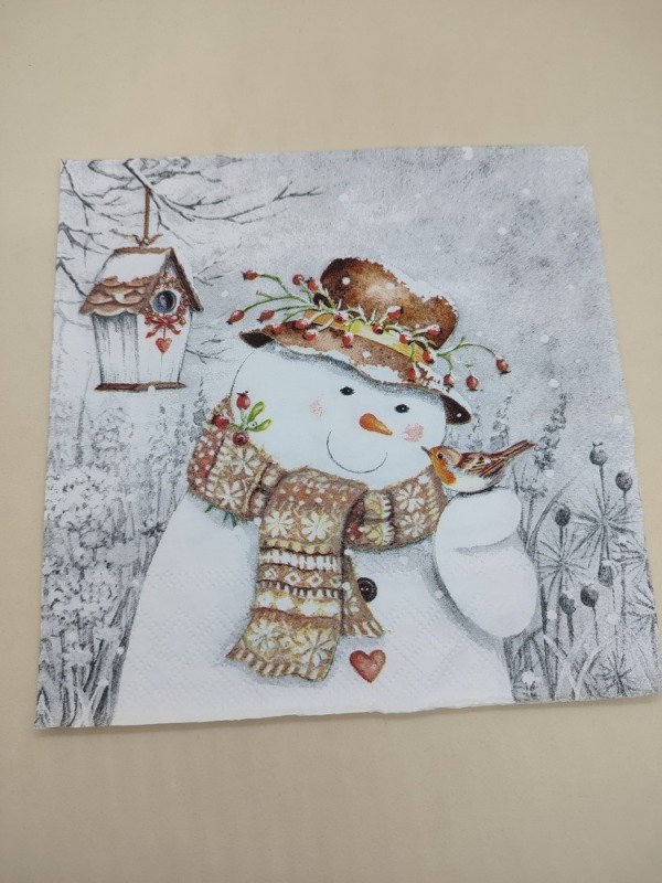 Producto - Snowman holding robin