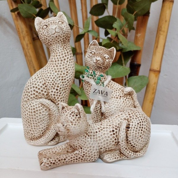 Producto - Set de gatos trasmutadores
