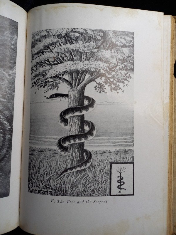 Producto - The sacred symbols of MU - Colonel James Churchward - 9