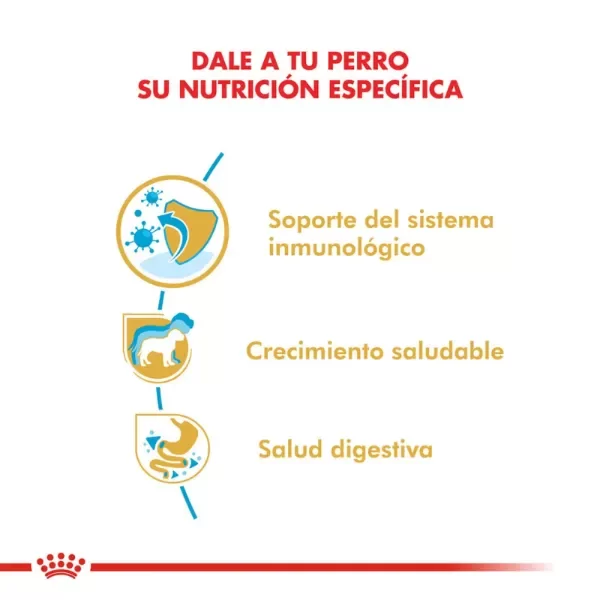 Producto - Alimento Royal Canin Perro Cachorro Jack Russell - 3Kg - 2