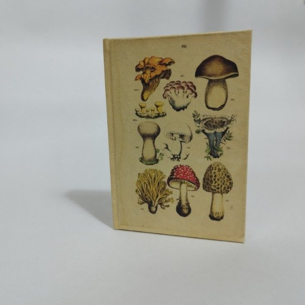 Producto - Mini honguis