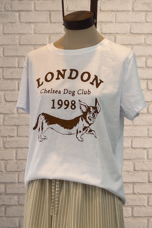 Producto - Remera Dog