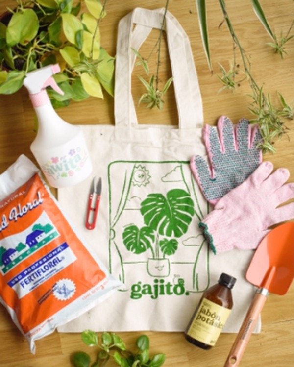 KIT basico jardinería - gajito