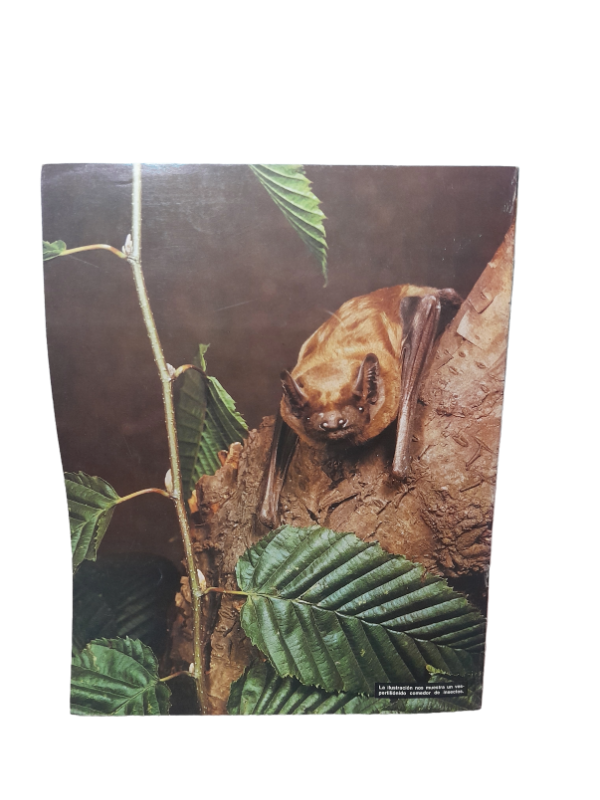 Miniatura de producto - 7