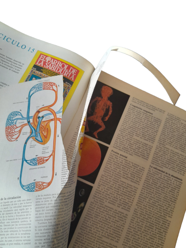 Miniatura de producto - 7