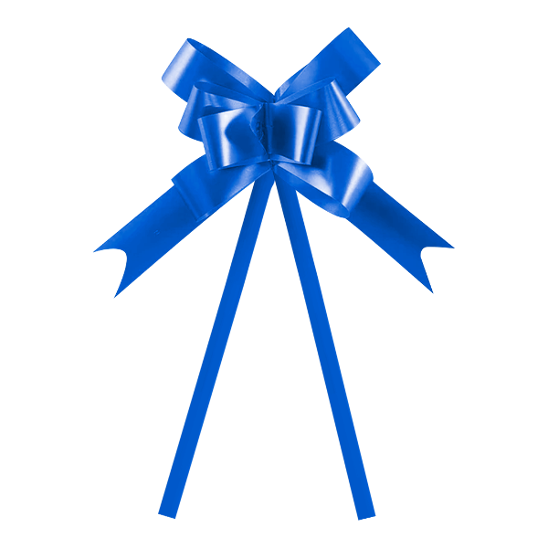 Producto - Moño Brillante #25