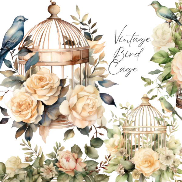 Producto - Jaulas de Pajaro Vintage Floral - Imágenes PNG - RET17