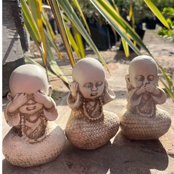 Producto - Mini budas