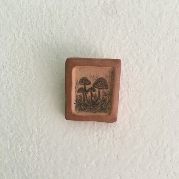 Producto - Expansión