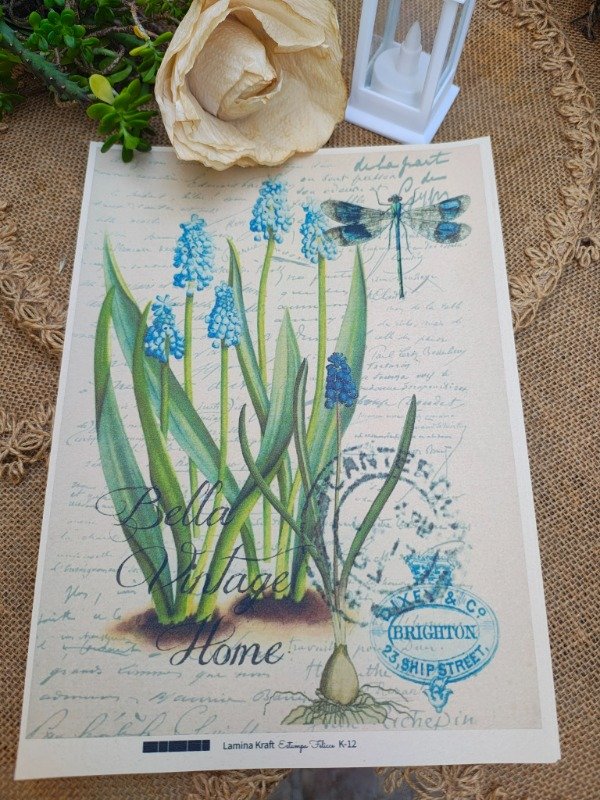 Producto - LAMINA KRAFT COD K12