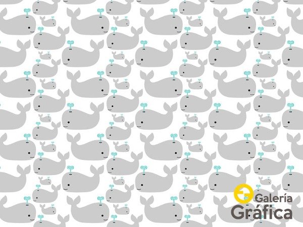 Producto - Animalitos FS 03