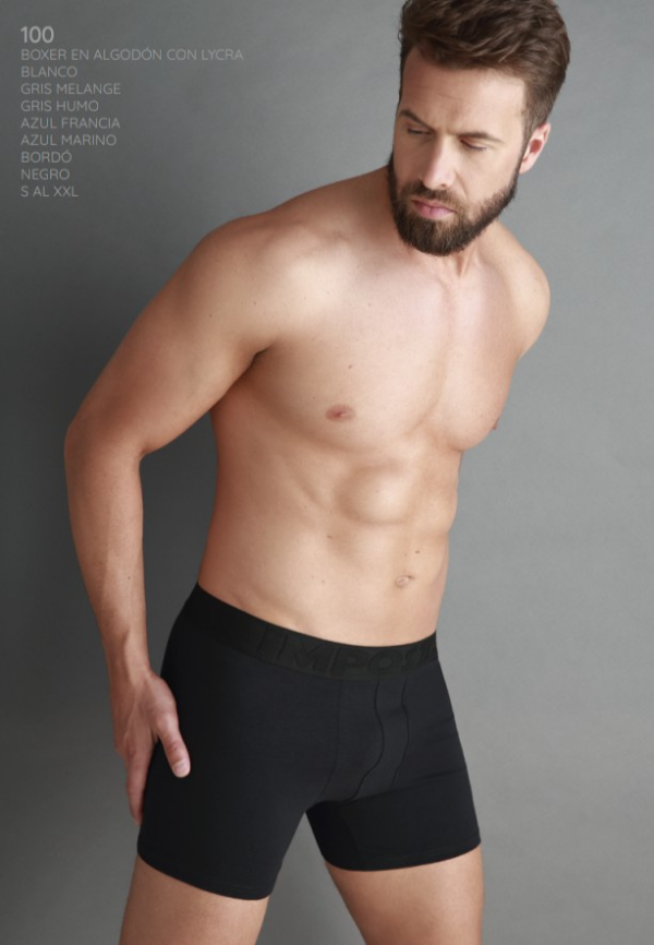 Producto - IMPOSTA 100