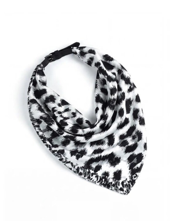 Producto - Cinto Caliope - 6