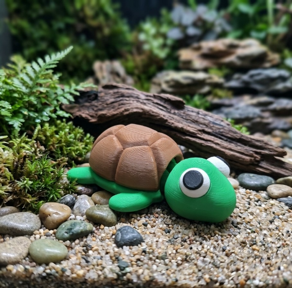 Producto - Tortuga