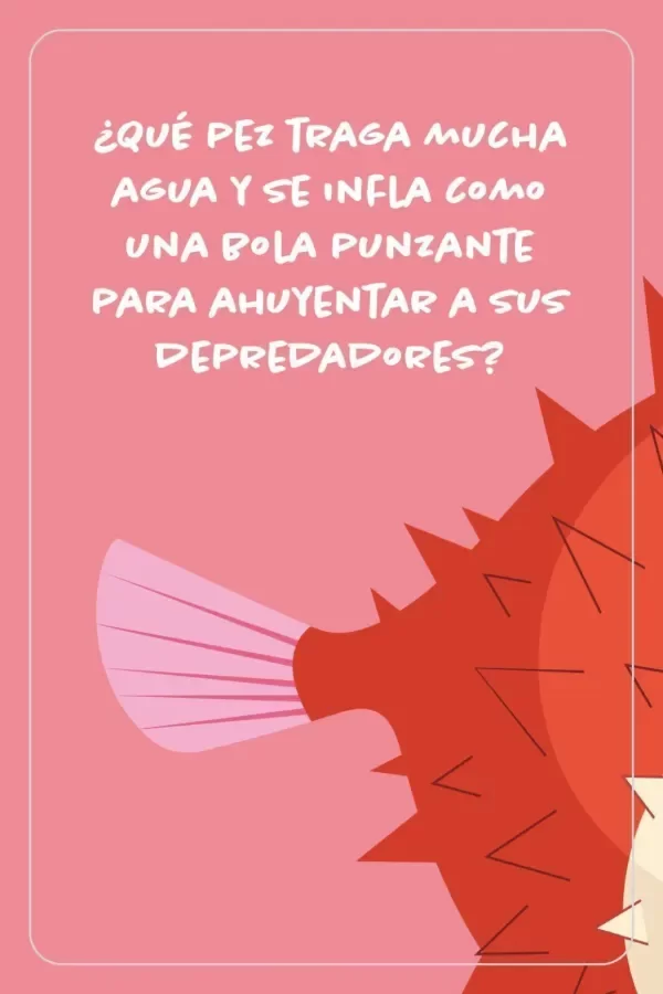 Producto - Cartas de adivinanzas: quién es - Oso Pardo - 6