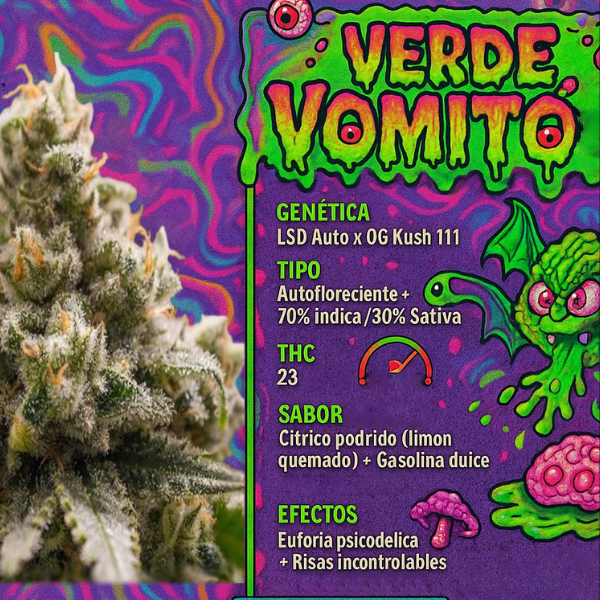 Producto - SEMILLA STICKY FINGERS VOMITO VERDE
