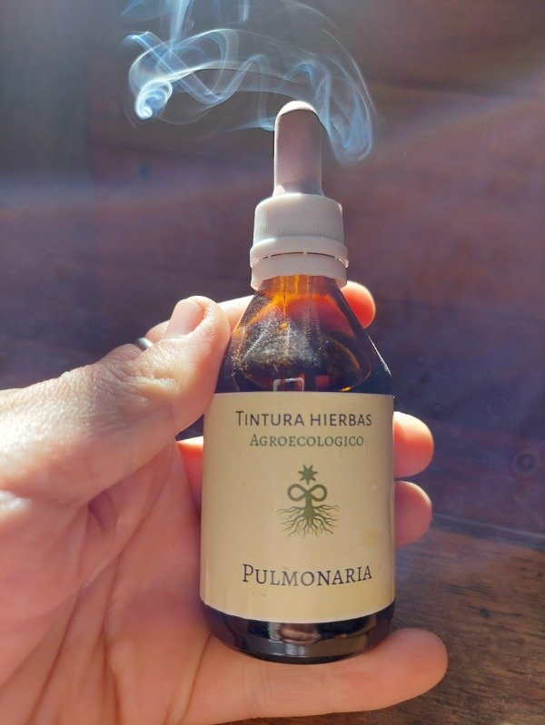 Producto - Tintura madre Pulmonaria