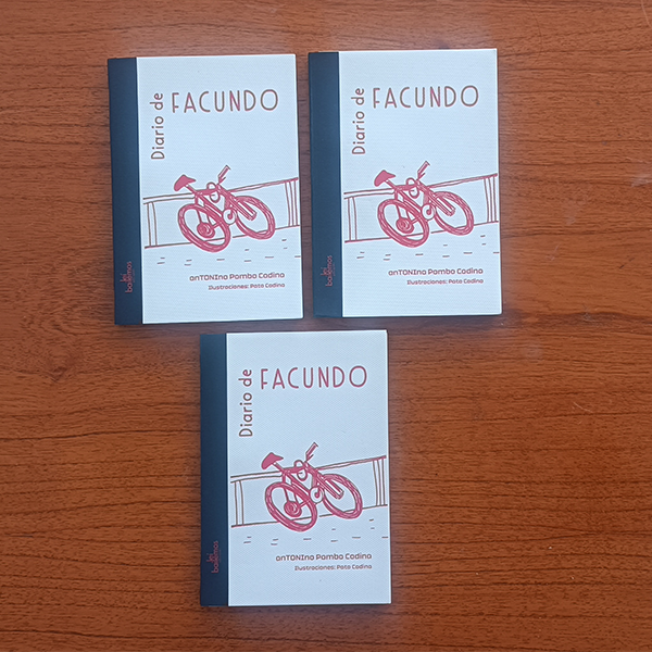 Producto - Diario de Facundo