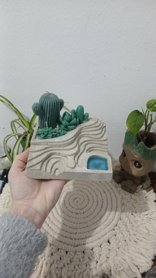 Producto - Maceta terrario - 5