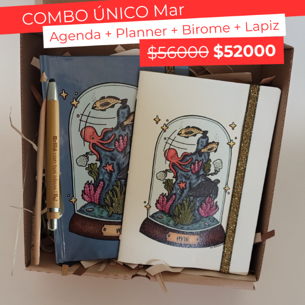 Producto - COMBO ORGANIZACIÓN MAR 2026