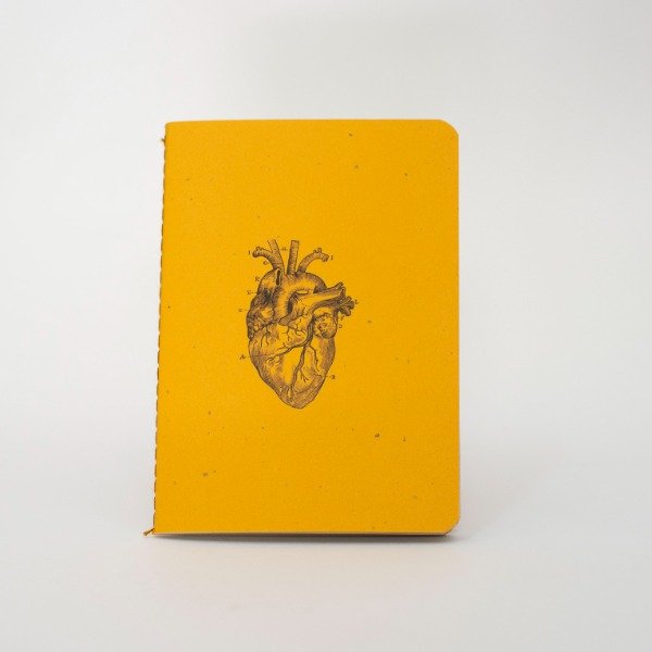Producto - CARINO - COLECCION - 8