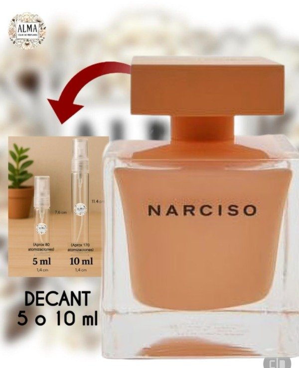 Producto - Narciso Rodríguez - Poudree (EDP)