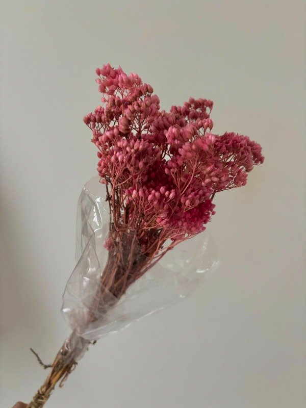 Producto - Achilea color - 0