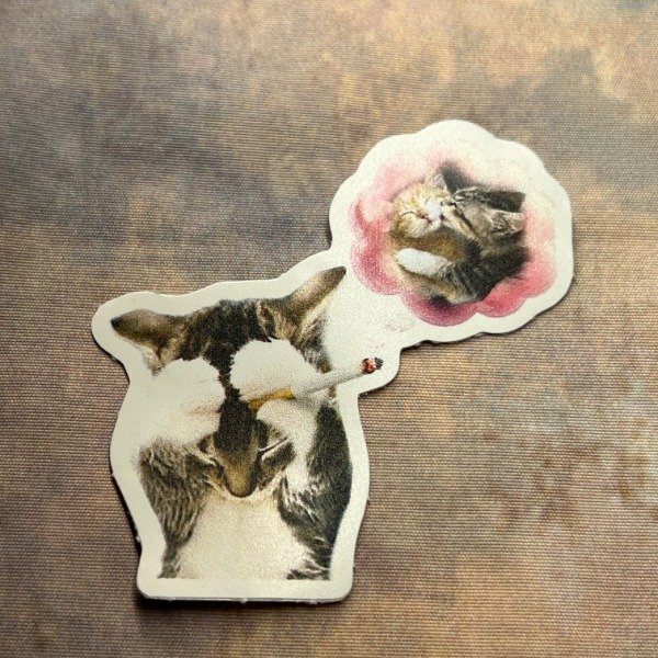 Producto - GATO RECORDANDO