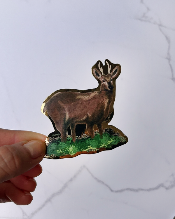 Producto - Sticker vinilo dorado HUEMUL
