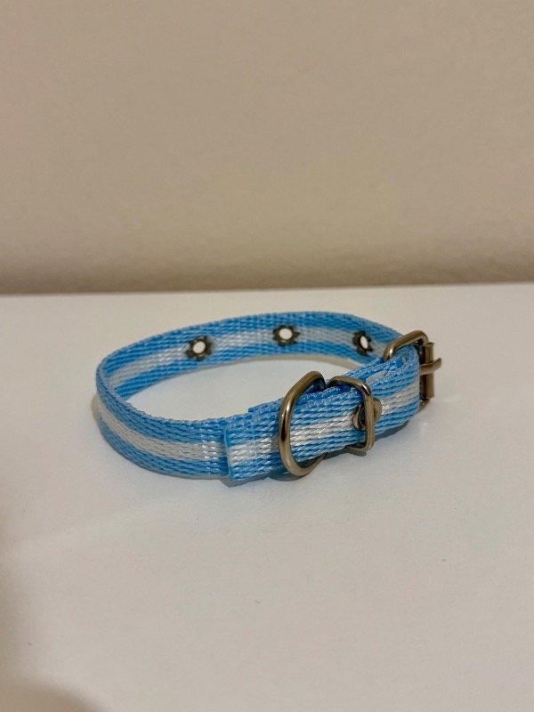 Producto - collar Argentina