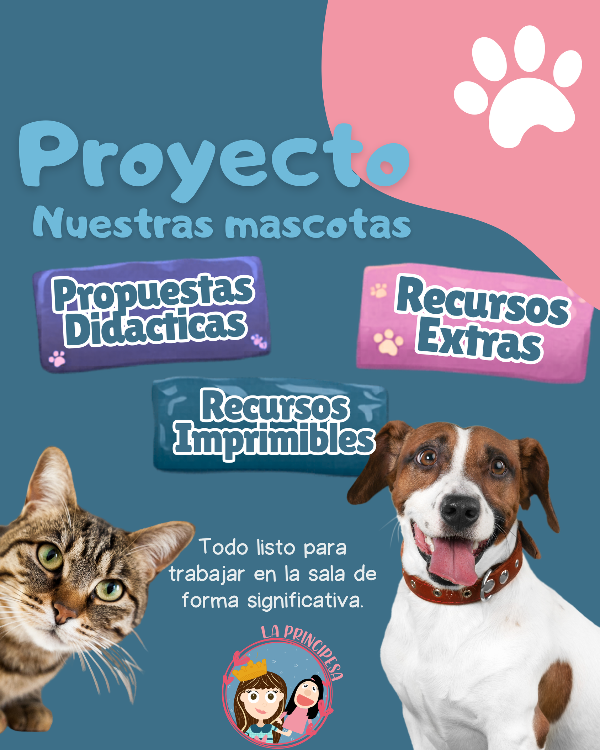 Producto - Proyecto Nuestras mascotas