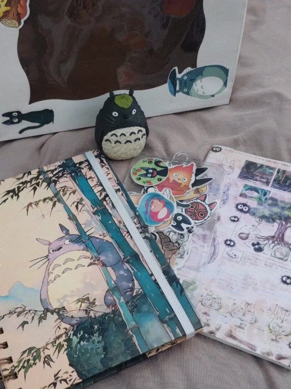 Producto - Box Totoro - 0