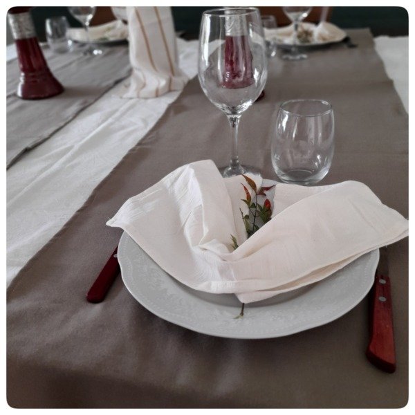 Producto - Servilletas de tusor x 4