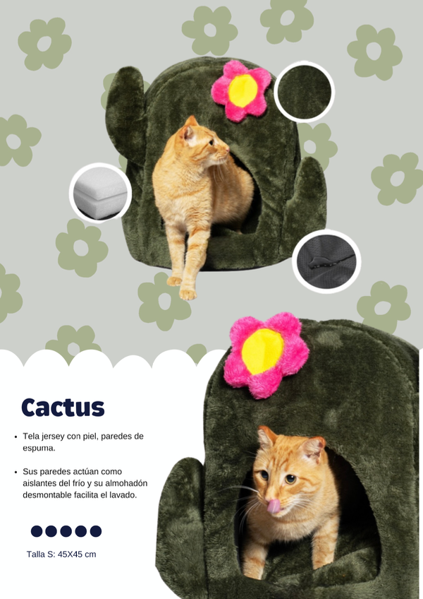 Producto - Cactus