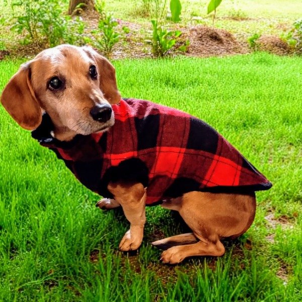 Miniatura de producto - 4