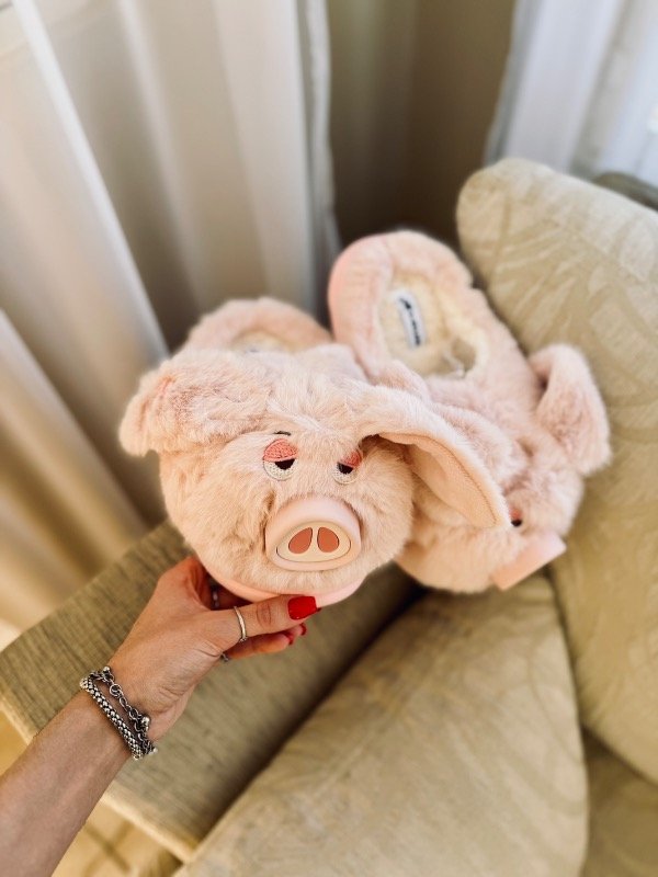 Producto - Pantus Piggy (leer descripción)