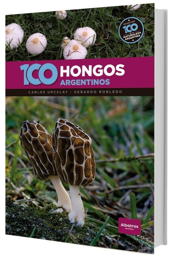 Producto - 100 HONGOS ARGENTINOS - CARLOS URCELAY - GERARDO ROBLEDO