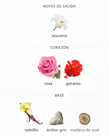 Producto - GRAVITY DE BOROUJ - 2