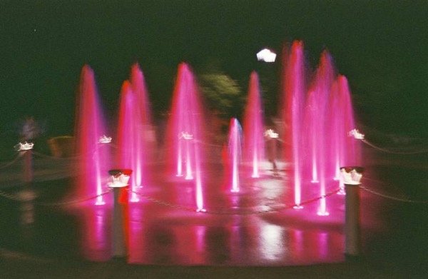 Imagen de producto - 4