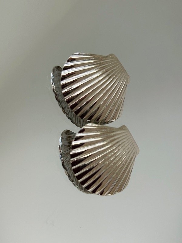 Producto - Aros silver 04