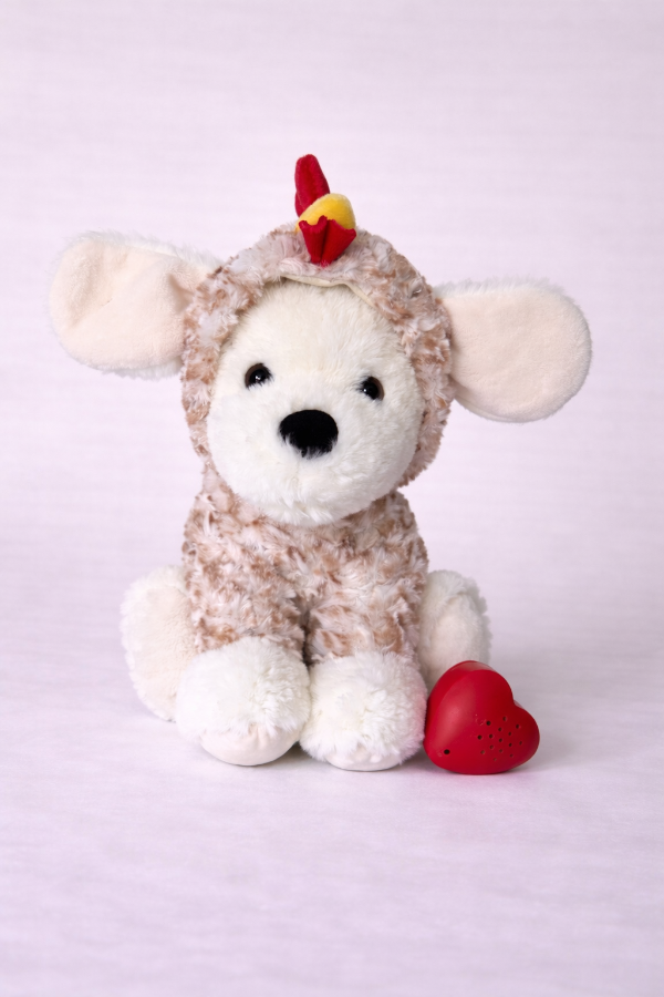 Producto - Perrito Gallina - 0