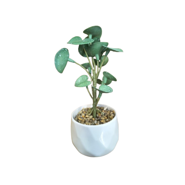 Producto - Planta Artificia 15x5Cm