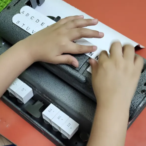 Producto - Abecedario para Perkins  - Braille y Visual - - 0