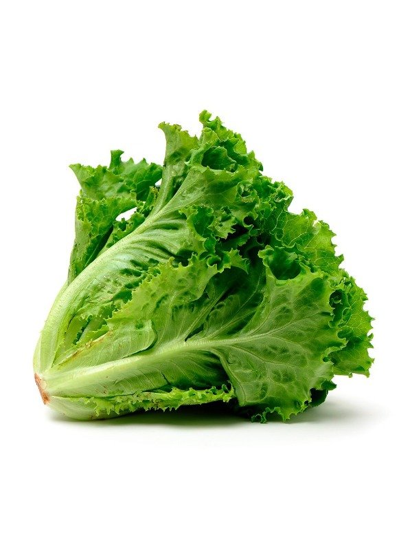 Producto - Lechuga crespa verde